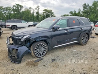 HYUNDAI PALISADE CALLIGRAPHY