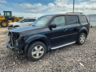 HONDA PILOT
