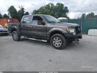 FORD FORD F-150 FX4/KING RANCH/LARIAT/PLATINUM/XL/XLT