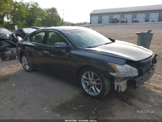 NISSAN NISSAN MAXIMA 3.5 SV