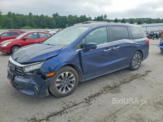 HONDA ODYSSEY EXL