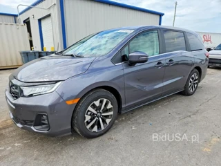 HONDA ODYSSEY EXL