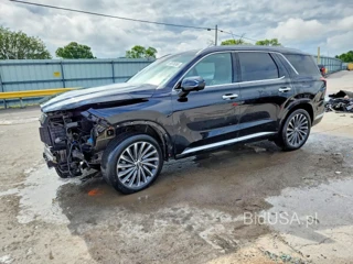 HYUNDAI PALISADE CALLIGRAPHY