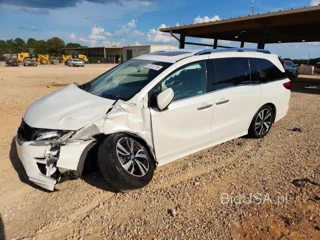 HONDA ODYSSEY ELITE