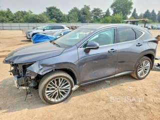 LEXUS NX 350 PREMIUM