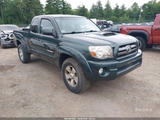 TOYOTA TOYOTA TACOMA BASE V6