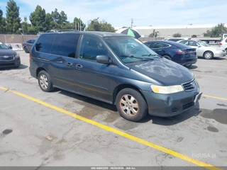 HONDA HONDA ODYSSEY EX-L