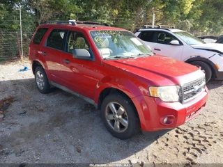 FORD FORD ESCAPE XLT