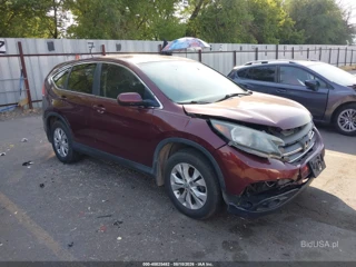 HONDA HONDA CR-V EX