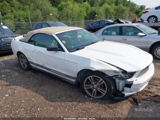 FORD FORD MUSTANG V6/V6 PREMIUM
