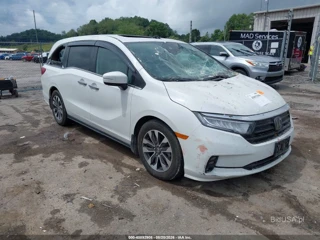 HONDA HONDA ODYSSEY EX-L