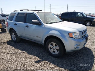 FORD FORD ESCAPE HYBRID LIMITED