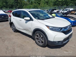 HONDA HONDA CR-V EX