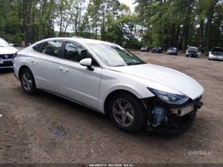 HYUNDAI HYUNDAI SONATA SE