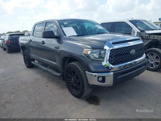 TOYOTA TOYOTA TUNDRA SR5