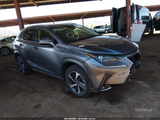 LEXUS LEXUS NX 300