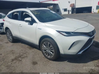 TOYOTA TOYOTA VENZA XLE