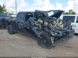 FORD FORD F-250 PLATINUM