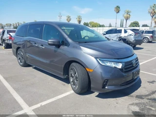 HONDA HONDA ODYSSEY ELITE