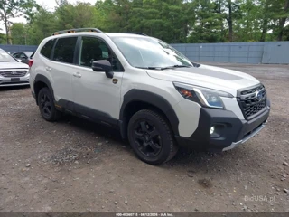 SUBARU SUBARU FORESTER WILDERNESS