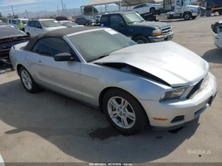 FORD FORD MUSTANG V6
