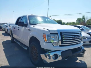 FORD FORD F-150 XLT