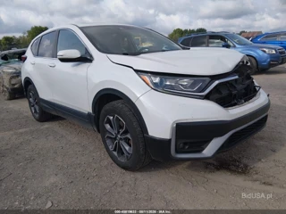 HONDA HONDA CR-V AWD EX