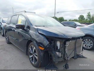 HONDA HONDA ODYSSEY ELITE