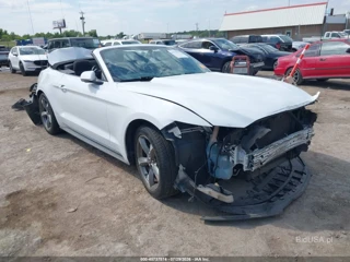FORD FORD MUSTANG V6