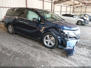 HONDA HONDA ODYSSEY EX-L/EX-L W/NAVI   RES