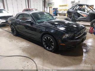 FORD FORD MUSTANG V6