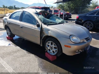 DODGE DODGE NEON SXT