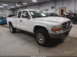 DODGE DODGE DAKOTA SLT