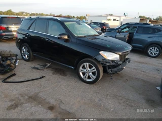 MERCEDES-BENZ MERCEDES-BENZ ML 350
