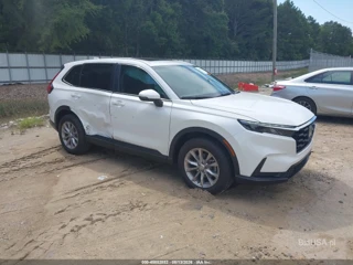HONDA HONDA CR-V EX AWD