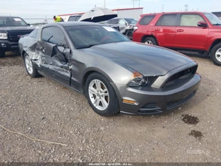 FORD FORD MUSTANG V6