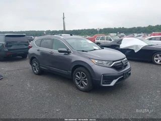 HONDA HONDA CR-V AWD EX