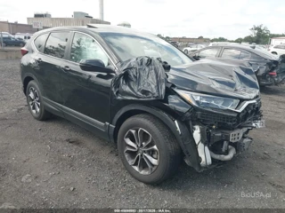 HONDA HONDA CR-V AWD EX