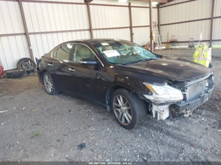 NISSAN NISSAN MAXIMA 3.5 SV