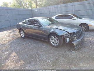 FORD FORD MUSTANG V6