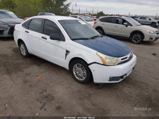 FORD FORD FOCUS SE/SES