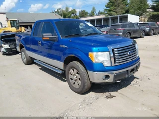 FORD FORD F-150 XLT