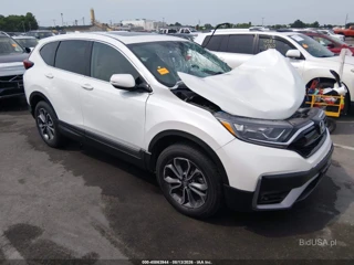 HONDA HONDA CR-V AWD EX