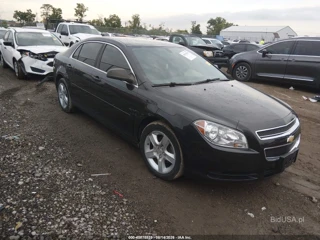 CHEVROLET CHEVROLET MALIBU LS