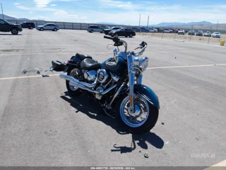 HARLEY-DAVIDSON HARLEY-DAVIDSON FLHC