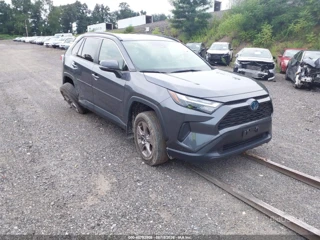 TOYOTA TOYOTA RAV4 HYBRID XLE