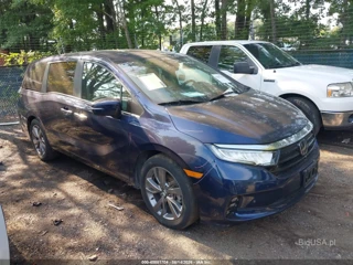 HONDA HONDA ODYSSEY TOURING
