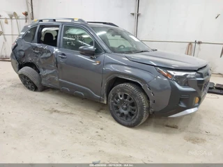 SUBARU SUBARU FORESTER WILDERNESS