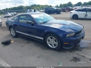 FORD FORD MUSTANG V6