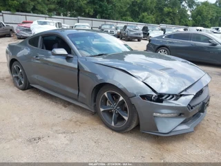 FORD FORD MUSTANG ECOBOOST FASTBACK